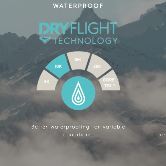 Roxy Ski Snowboard Backyard Pant White - Picture 9 of 12